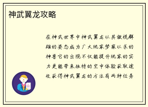 神武翼龙攻略